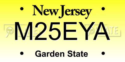 M25EYA New Jersey License Plate