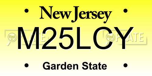 M25LCY New Jersey License Plate