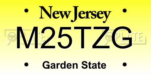 M25TZG New Jersey License Plate