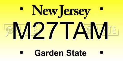 M27TAM New Jersey License Plate