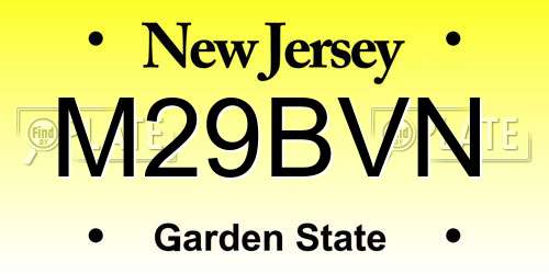 M29BVN New Jersey License Plate