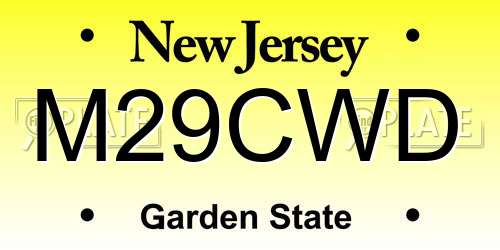 M29CWD New Jersey License Plate
