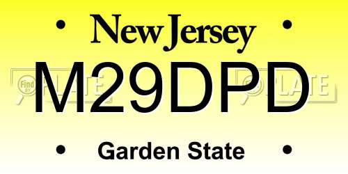 M29DPD New Jersey License Plate