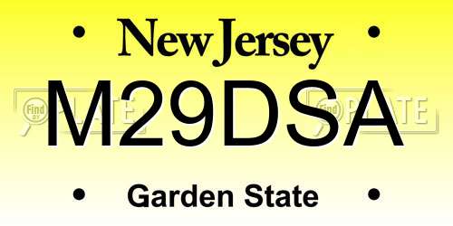 M29DSA New Jersey License Plate