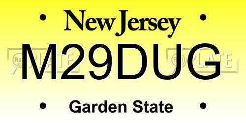 M29DUG New Jersey License Plate