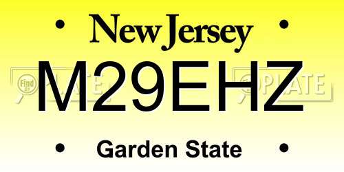 M29EHZ New Jersey License Plate