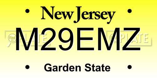 M29EMZ New Jersey License Plate