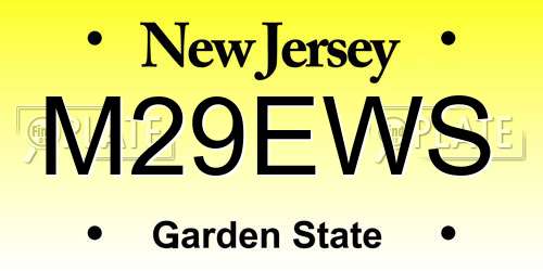 M29EWS New Jersey License Plate