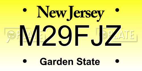 M29FJZ New Jersey License Plate