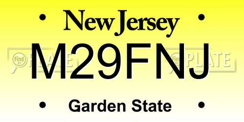 M29FNJ New Jersey License Plate