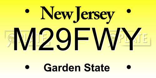 M29FWY New Jersey License Plate