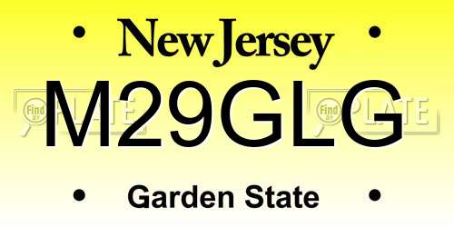 M29GLG New Jersey License Plate