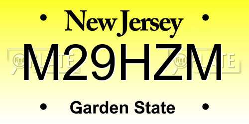 M29HZM New Jersey License Plate