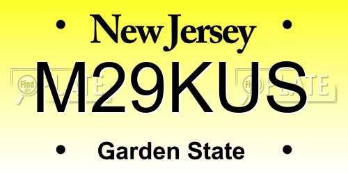 M29KUS New Jersey License Plate