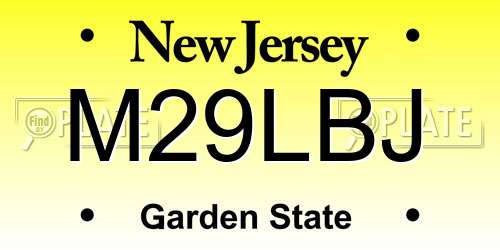 M29LBJ New Jersey License Plate