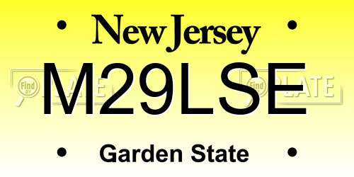M29LSE New Jersey License Plate