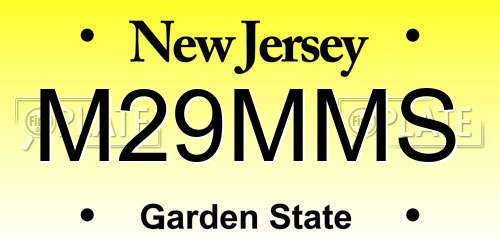 M29MMS New Jersey License Plate