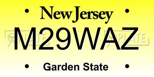M29WAZ New Jersey License Plate