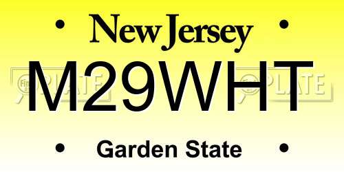 M29WHT New Jersey License Plate