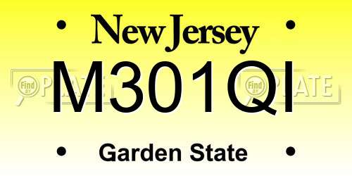 M301QI New Jersey License Plate