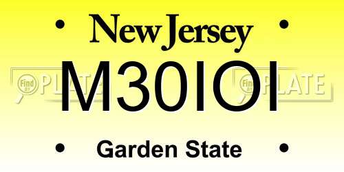 M30IOI New Jersey License Plate