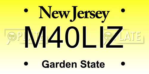 M40LIZ New Jersey License Plate