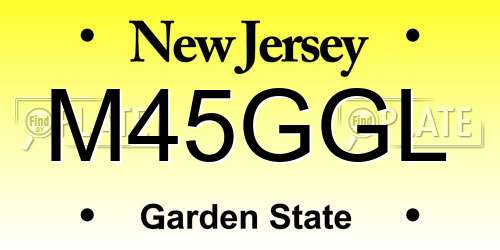 M45GGL New Jersey License Plate