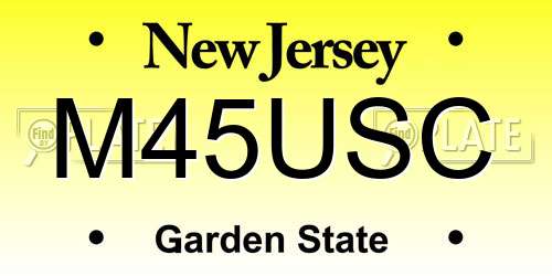 M45USC New Jersey License Plate