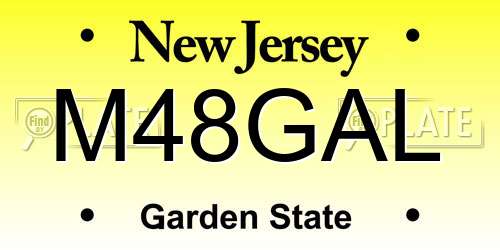 M48GAL New Jersey License Plate