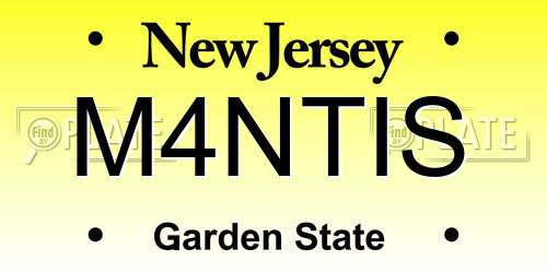 M4NTIS New Jersey License Plate
