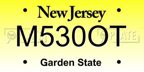 M530OT New Jersey License Plate