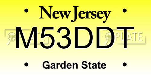 M53DDT New Jersey License Plate