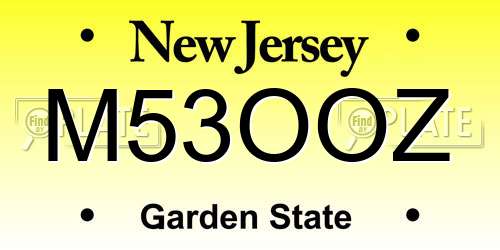 M53OOZ New Jersey License Plate