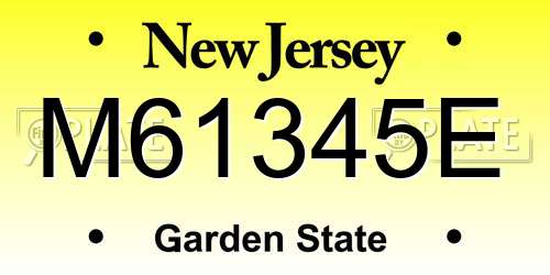 M61345E New Jersey License Plate