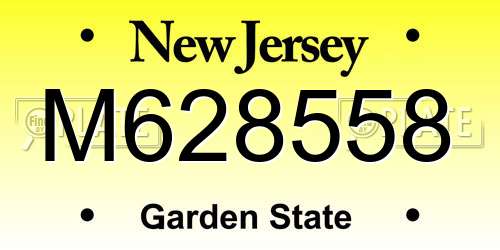 M628558 New Jersey License Plate