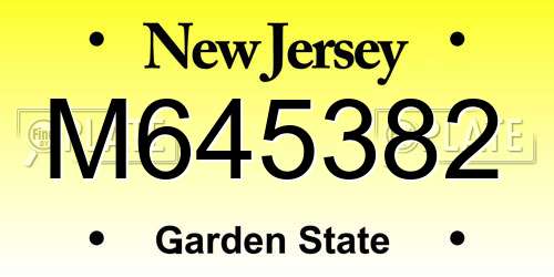 M645382 New Jersey License Plate
