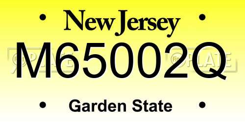 M65002Q New Jersey License Plate