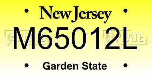 M65012L New Jersey License Plate