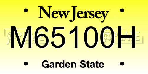 M65100H New Jersey License Plate