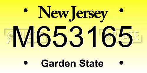 M653165 New Jersey License Plate