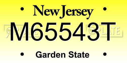 M65543T New Jersey License Plate