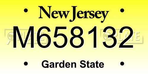 M658132 New Jersey License Plate