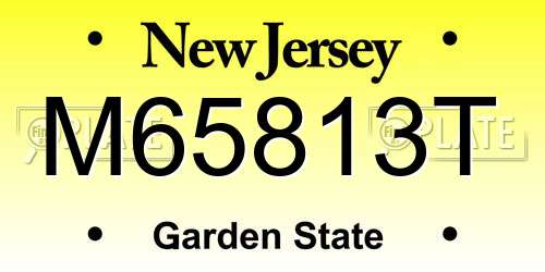 M65813T New Jersey License Plate