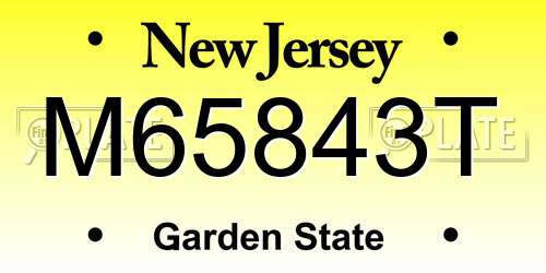 M65843T New Jersey License Plate