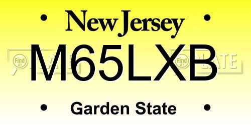 M65LXB New Jersey License Plate