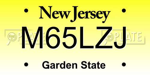 M65LZJ New Jersey License Plate