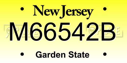 M66542B New Jersey License Plate
