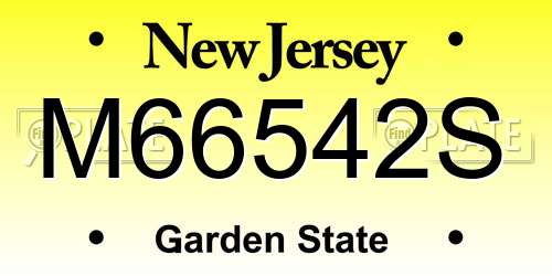 M66542S New Jersey License Plate