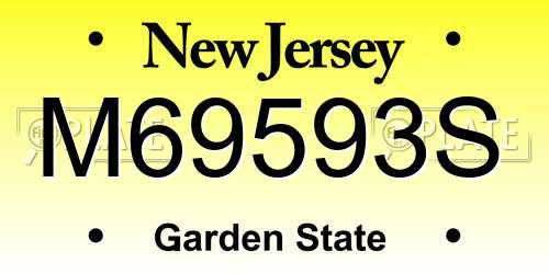 M69593S New Jersey License Plate