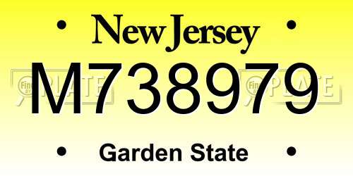 M738979 New Jersey License Plate